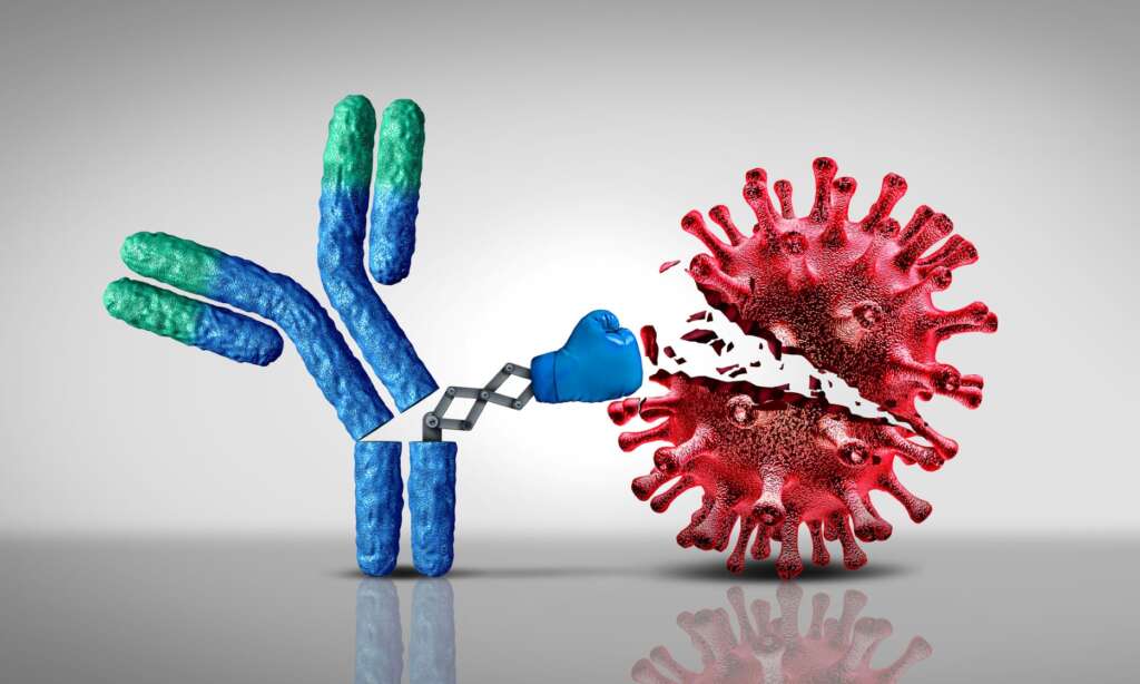 ウイルスと戦う抗体