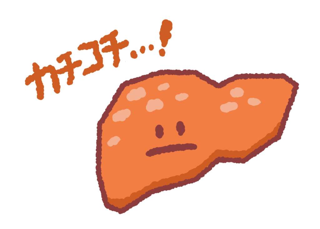 硬い肝臓