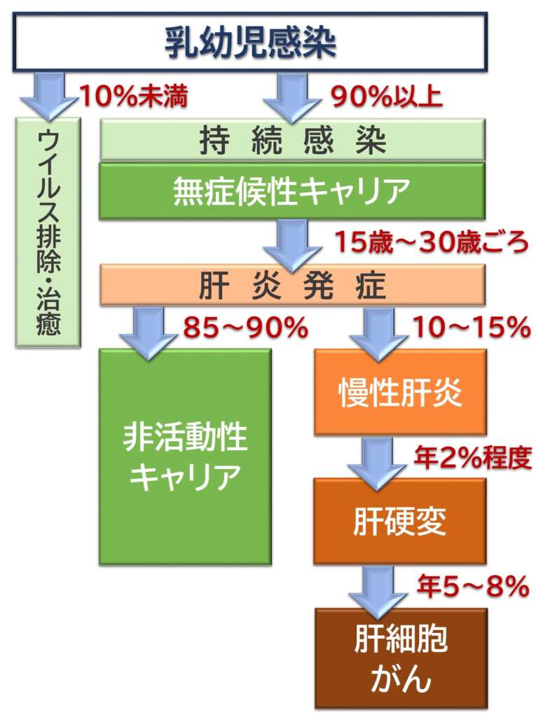 乳幼児期に感染した後の自然経過